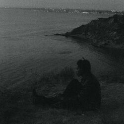 Cover of Lie