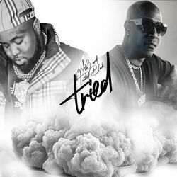 Cover of Tried