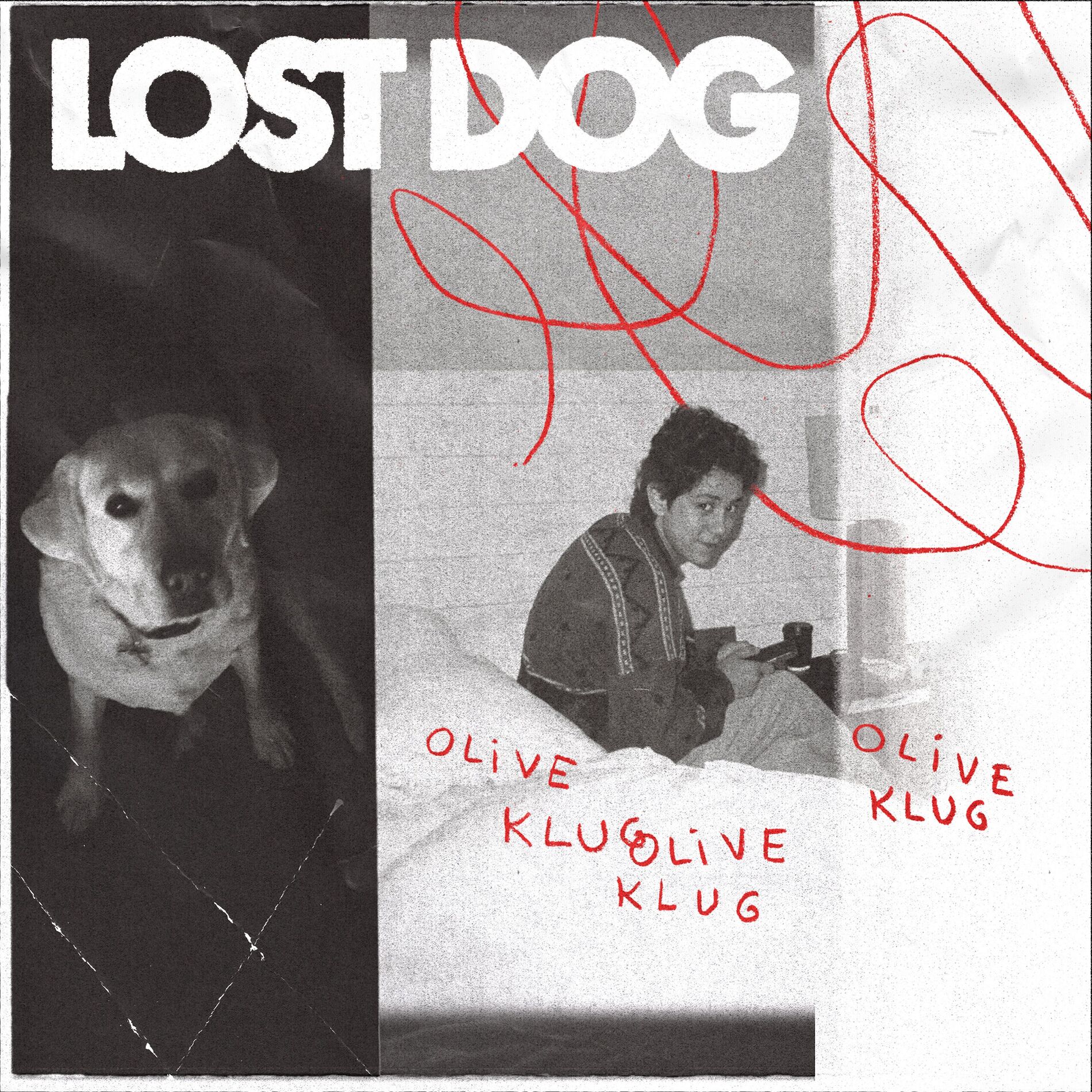 Album cover of Lost Dog
