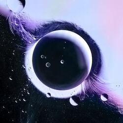 music cover