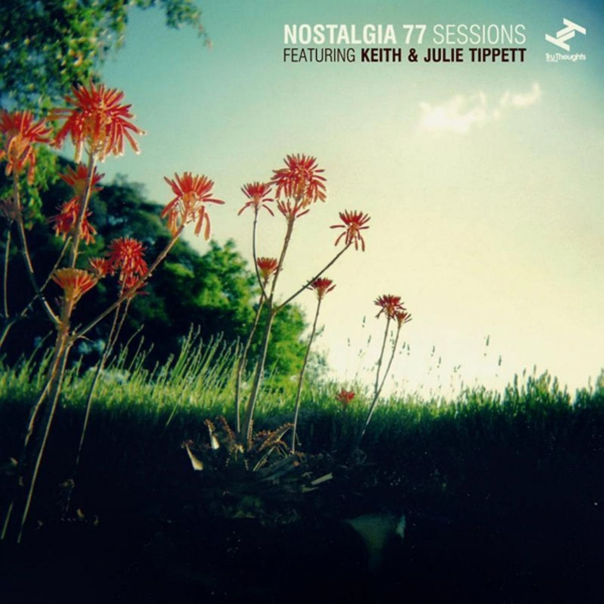 Album cover of Nostalgia 77 Sessions