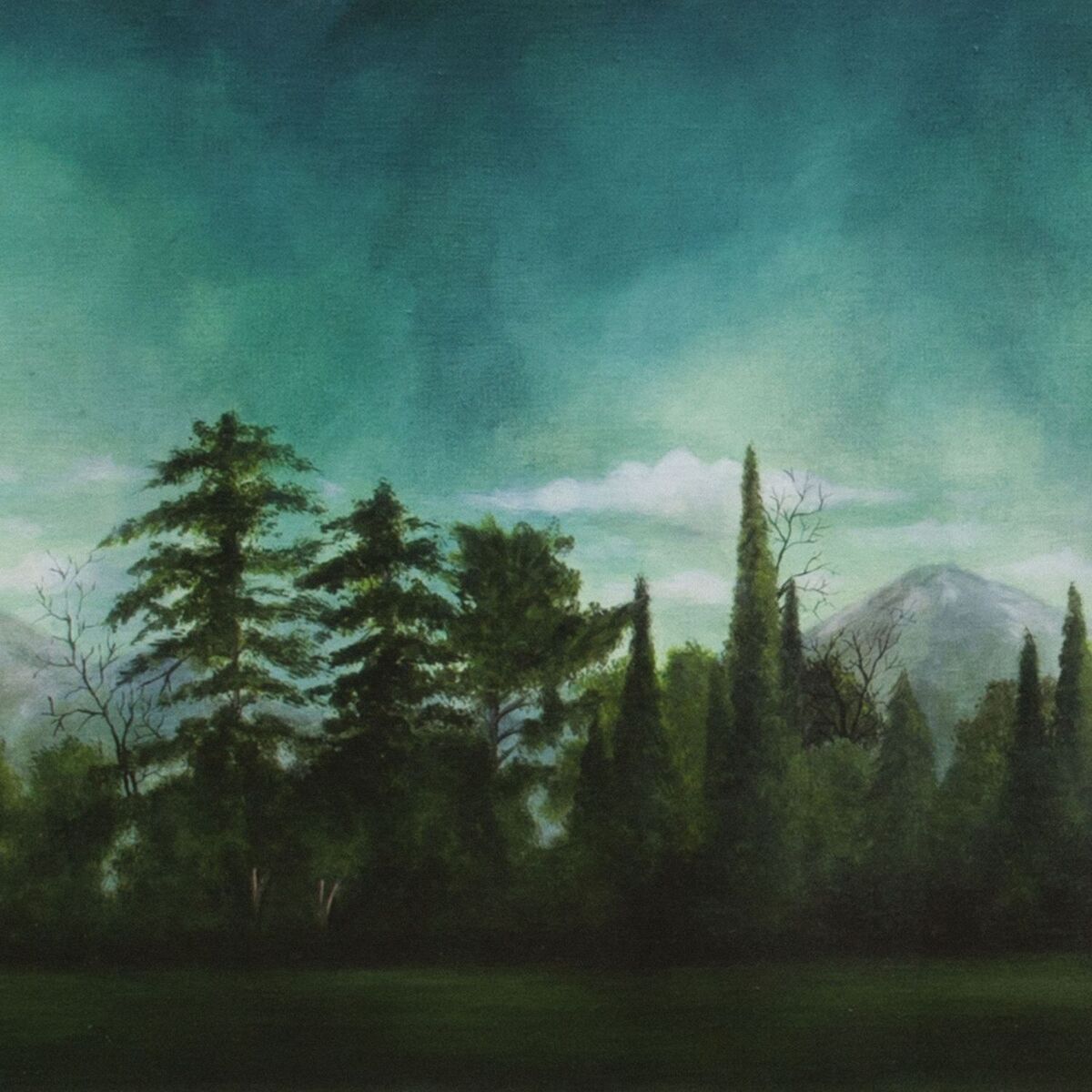 Album cover of Nocturnidad