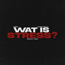 Cover of Wat Is Stress