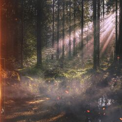 Cover of Running In A Dream