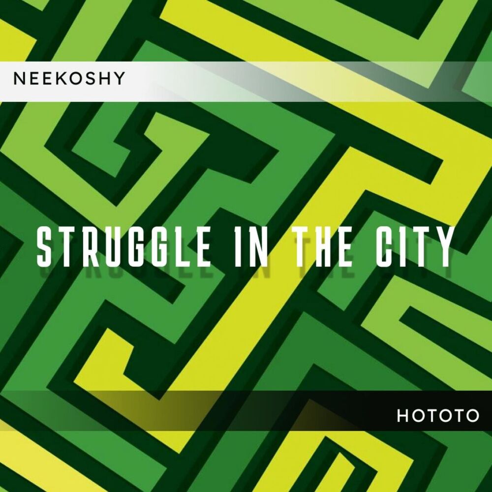 Picture of Struggle in the City