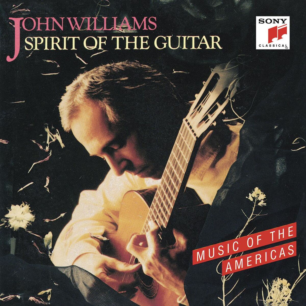 Album cover of Spirit of the Guitar: Music of the Americas