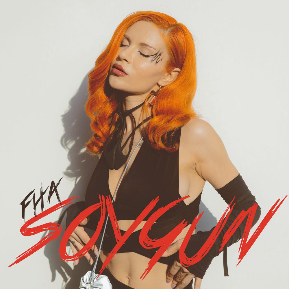 Soygun cover