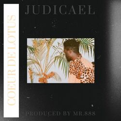 Cover of Coeur de lotus