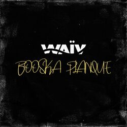 Cover of Booska planque