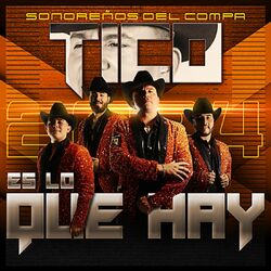 Cover of Es Lo Que Hay