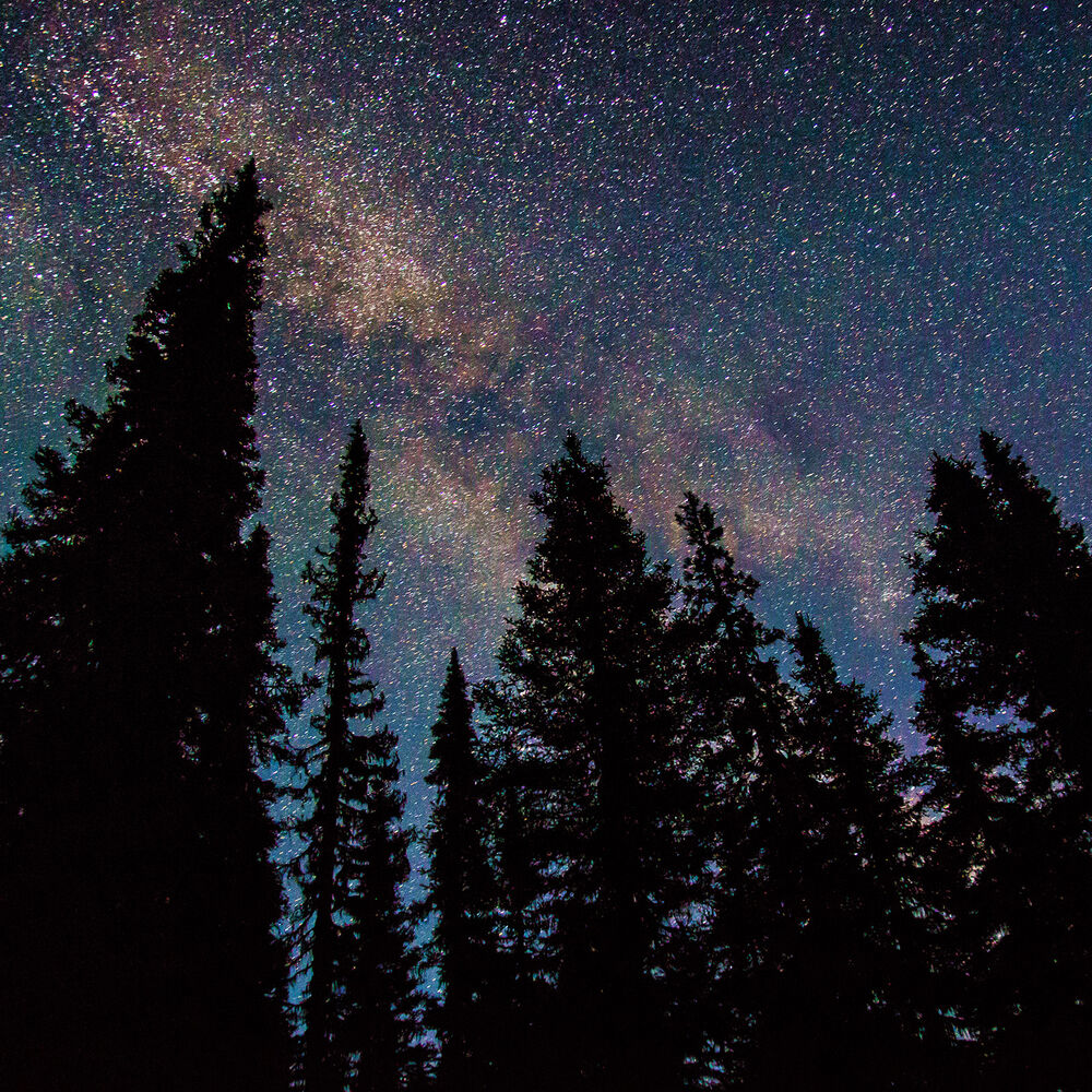 Picture of Music for Chilling Out
