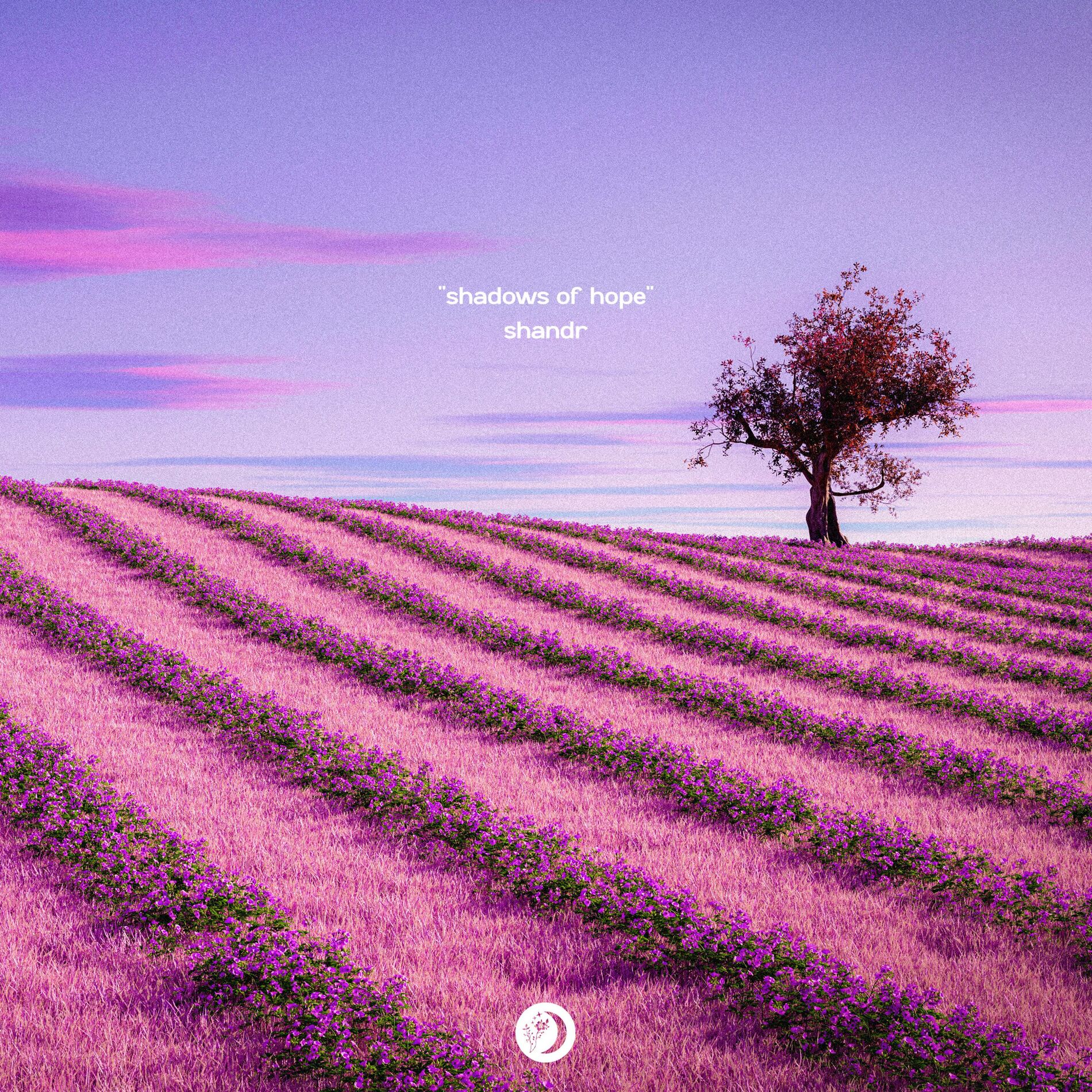 Album cover of Shadows of Hope