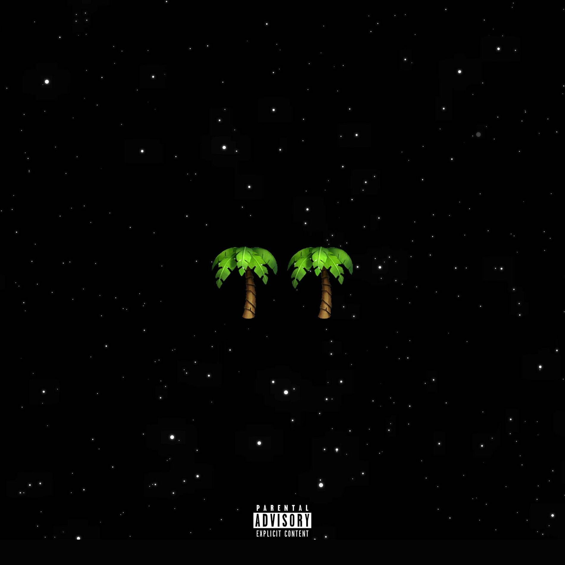 Album cover of Palmwine Music 2