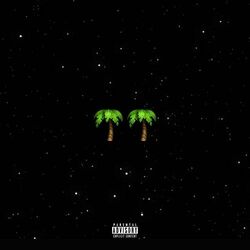 Cover of Palmwine Music 2