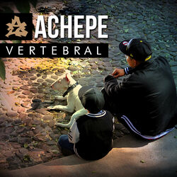 Cover of Vertebral