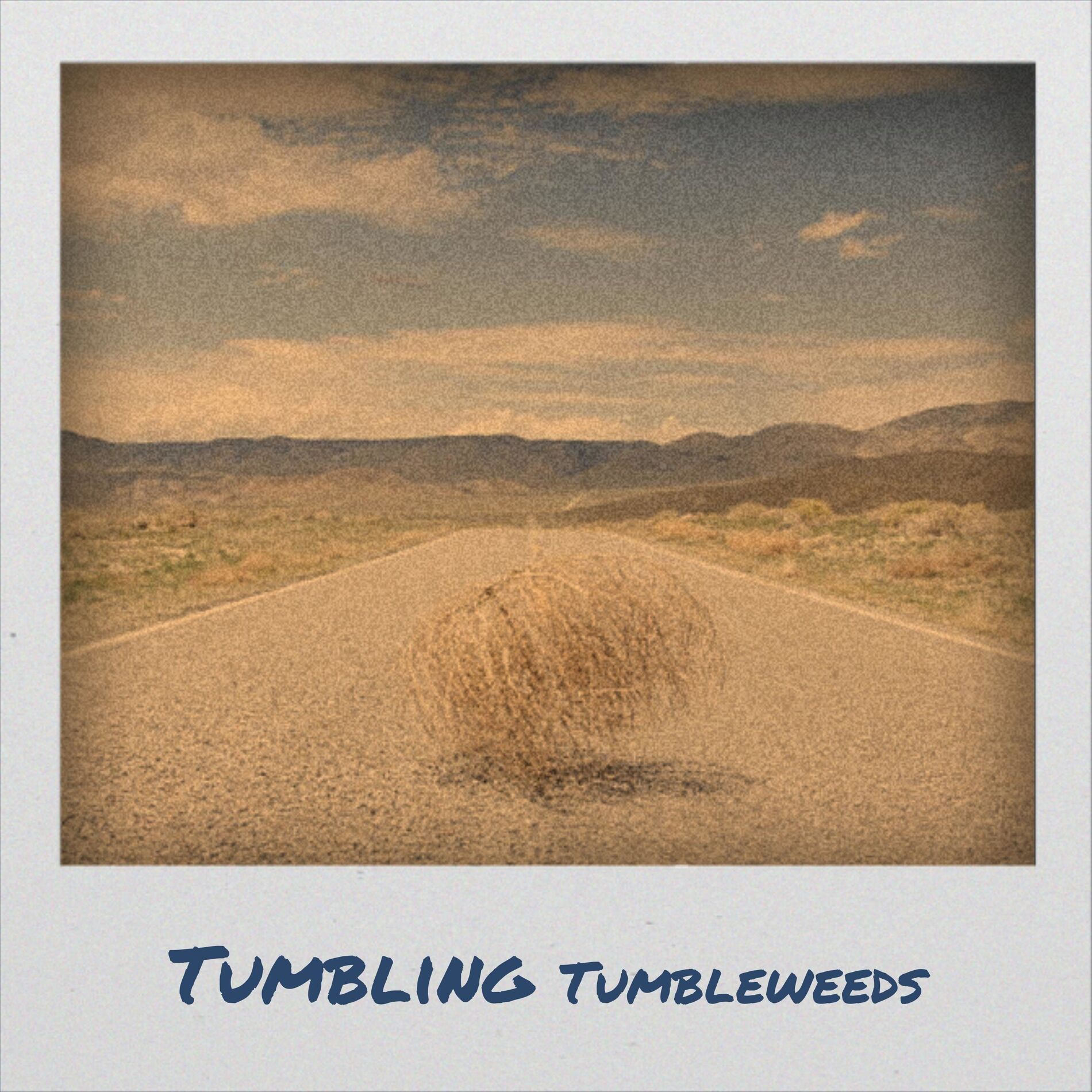 Album cover of Tumbling Tumbleweeds