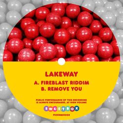 Cover of Fireblast Riddim