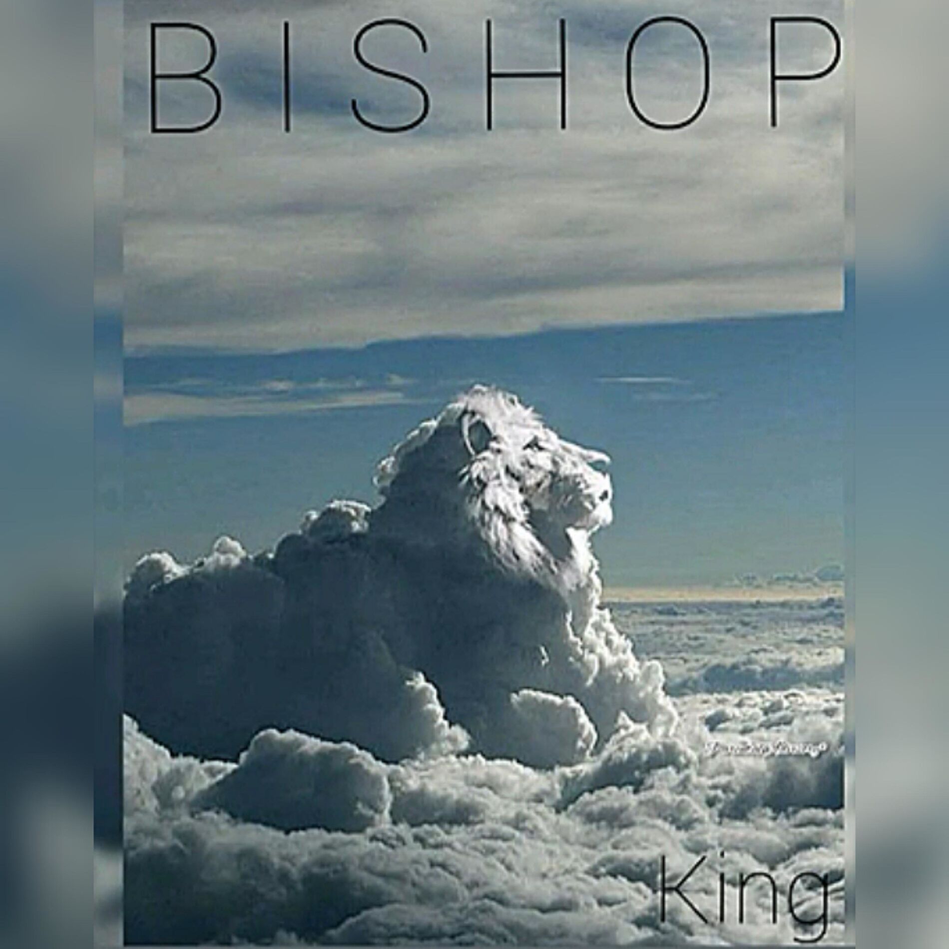 Album cover of King