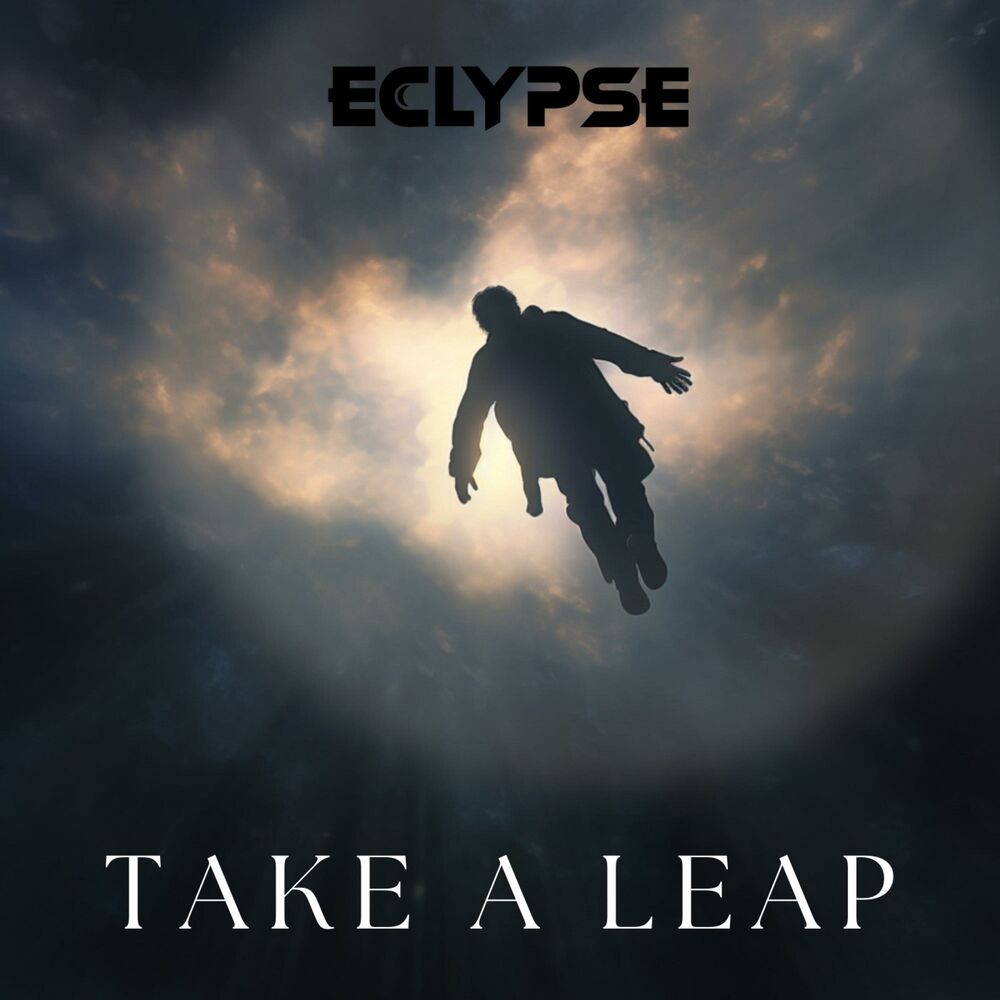 Picture of Take A Leap