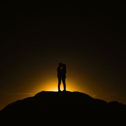 Cover of Shine