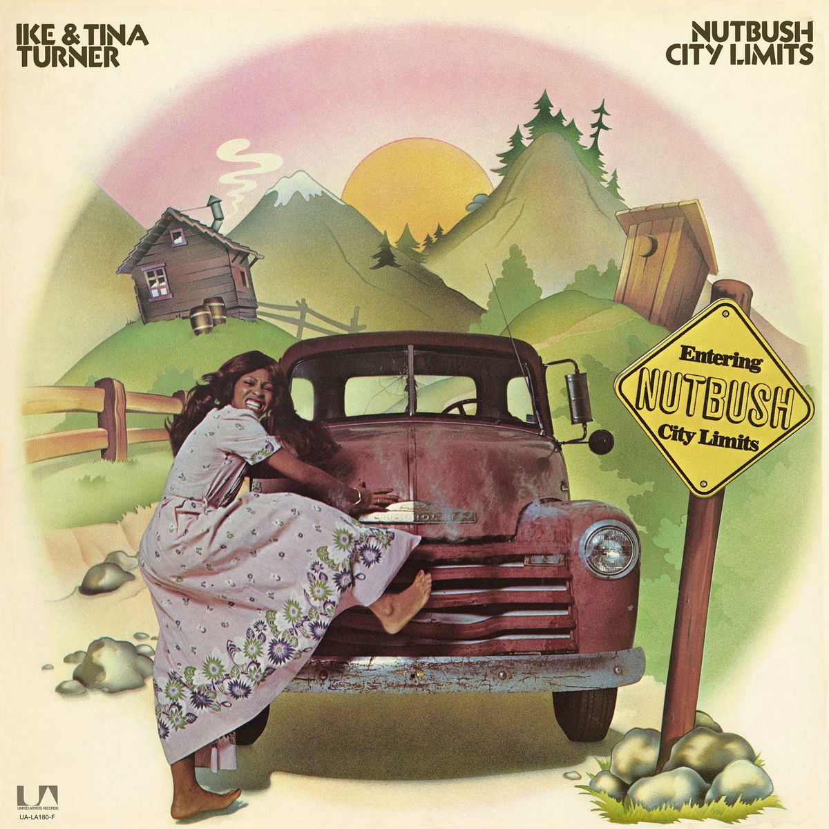 Ike & Tina Turner - Nutbush City Limits | Deezer