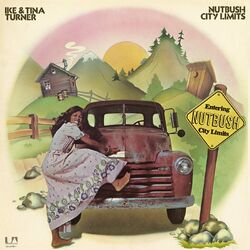Cover of Nutbush City Limits