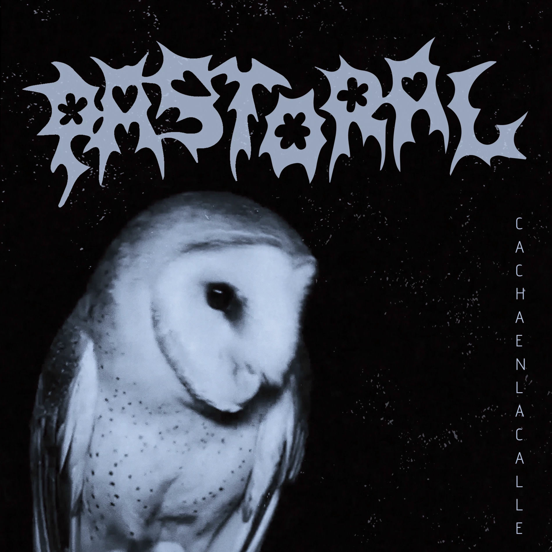 Album cover of Cacha en la Calle