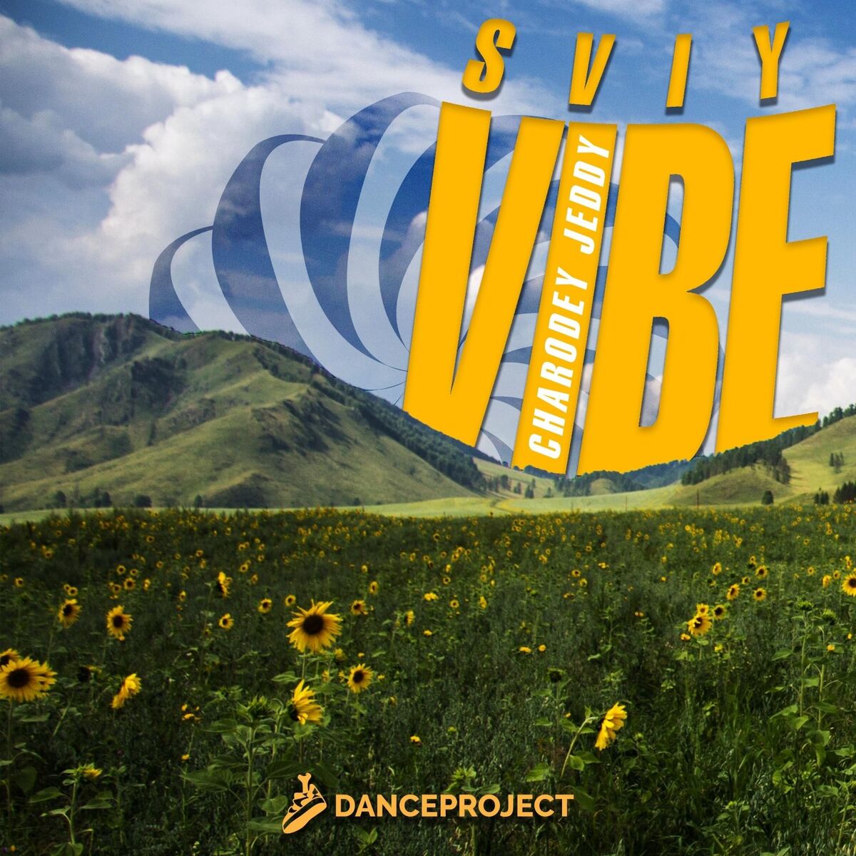 Album cover of Sviy Vibe