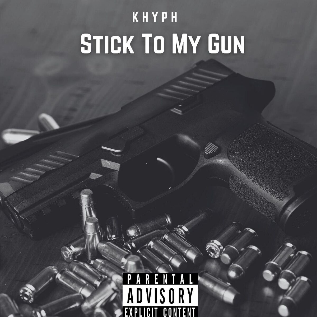 Album cover of Stick to My Gun