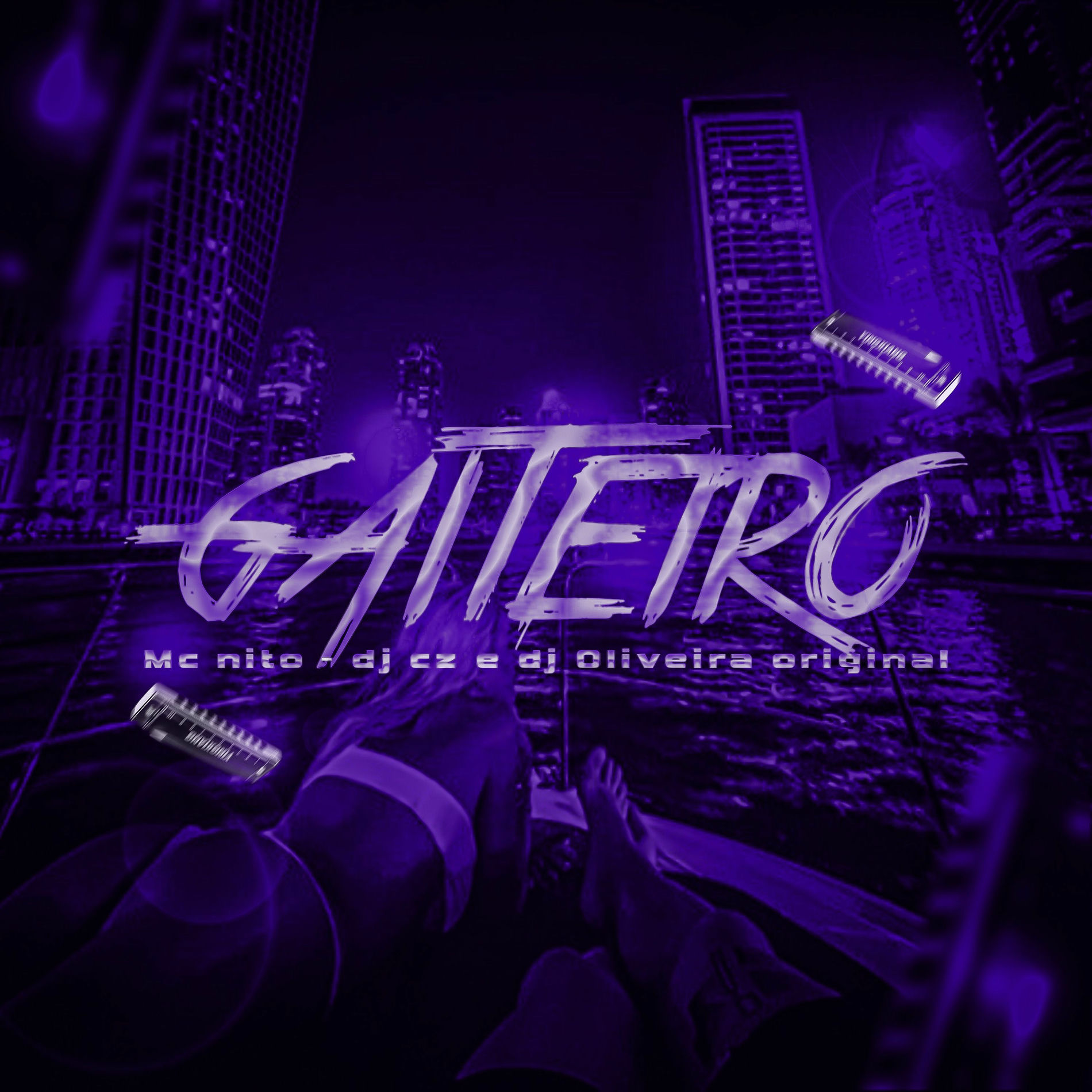 Album cover of Gaiteiro