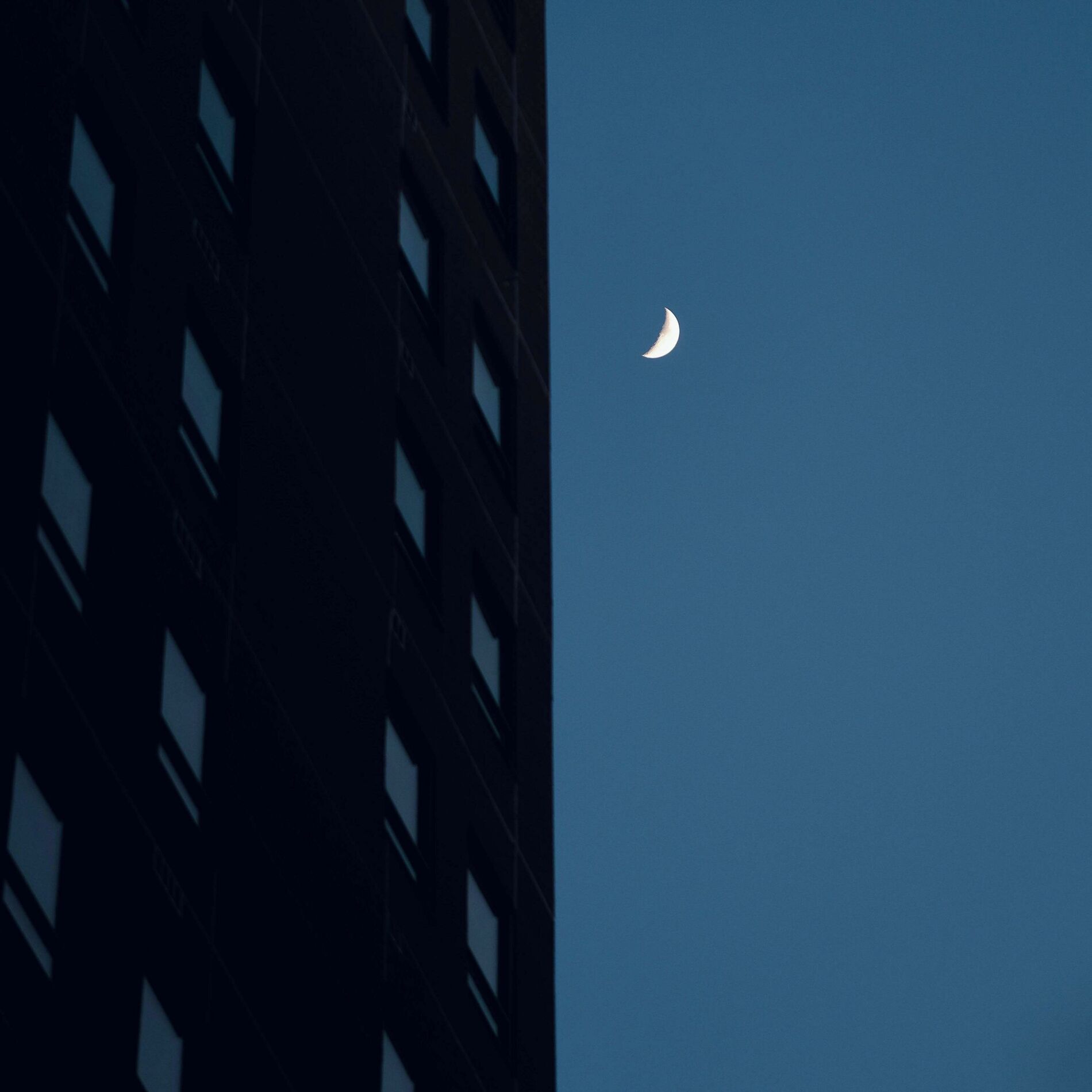 Album cover of Without You