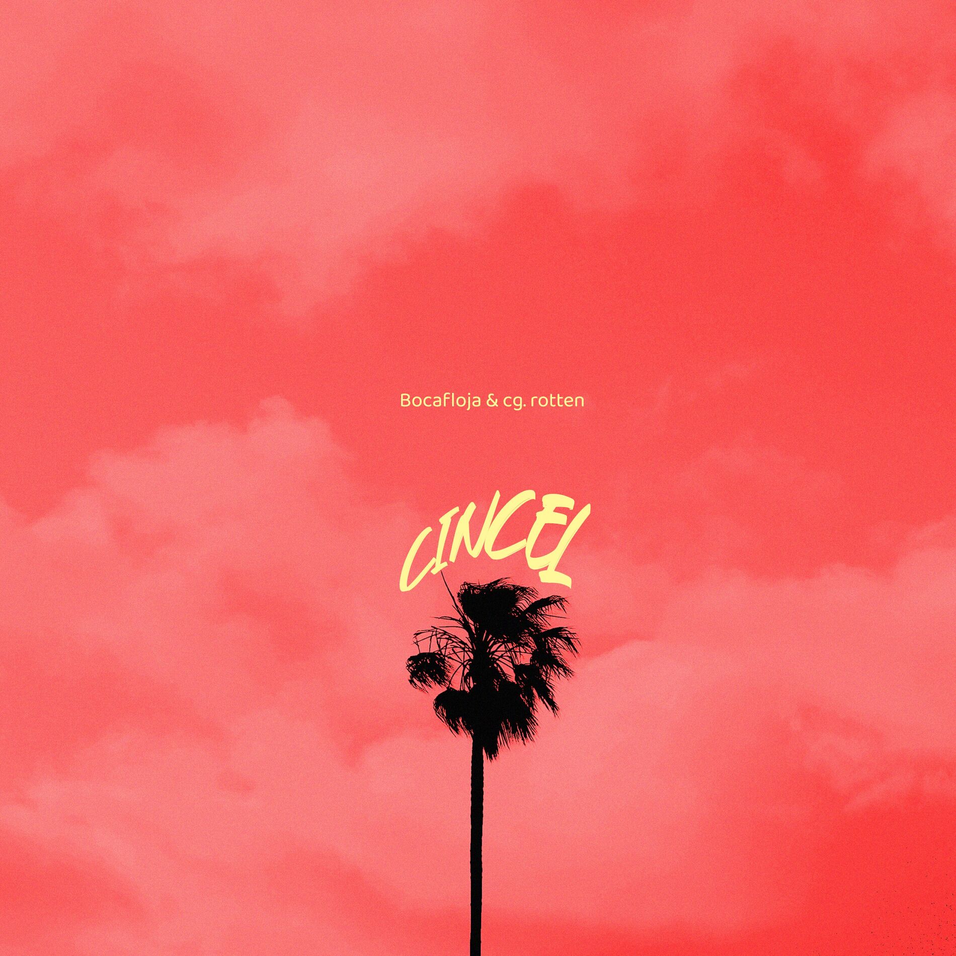 Album cover of Cincel