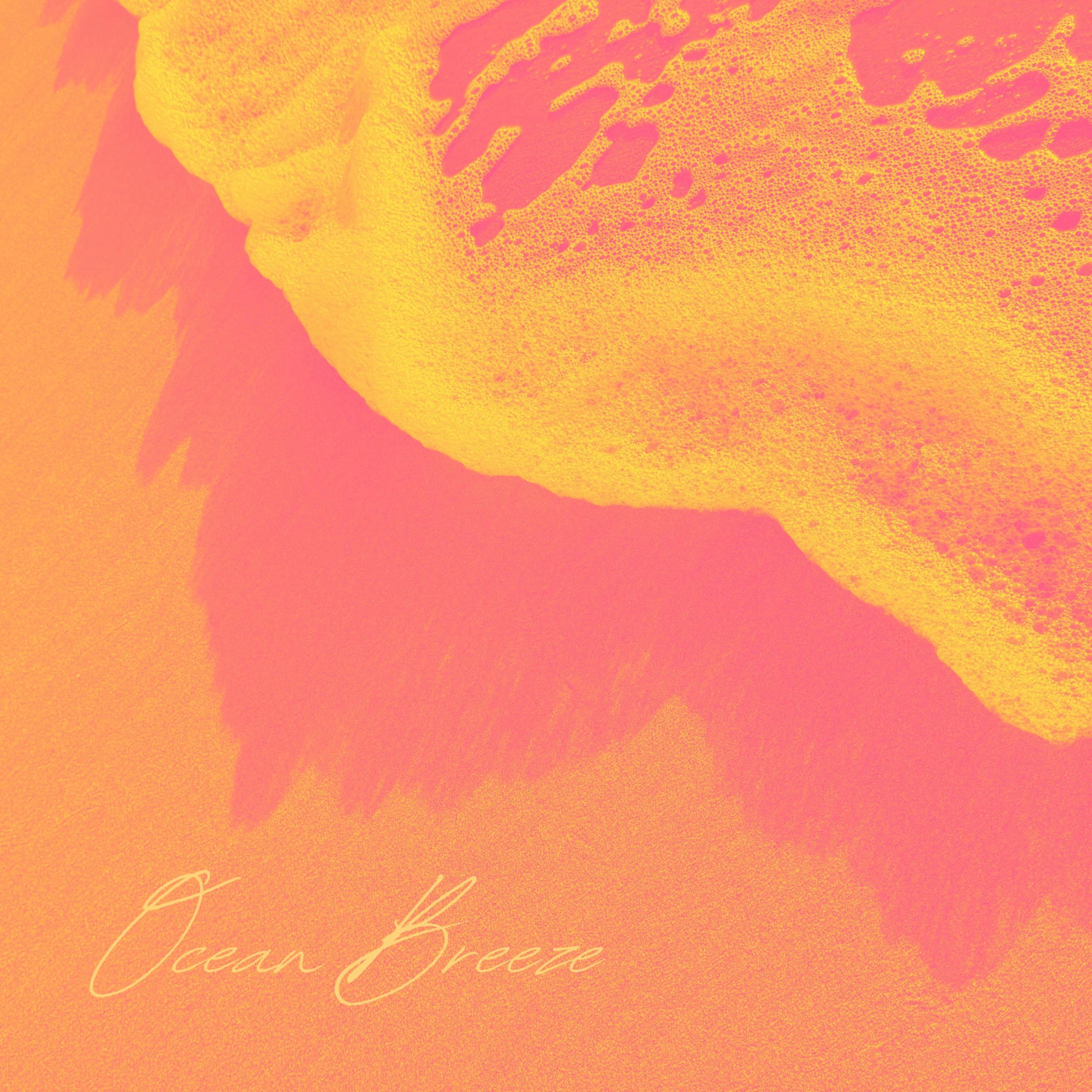 Album cover of Ocean Breeze