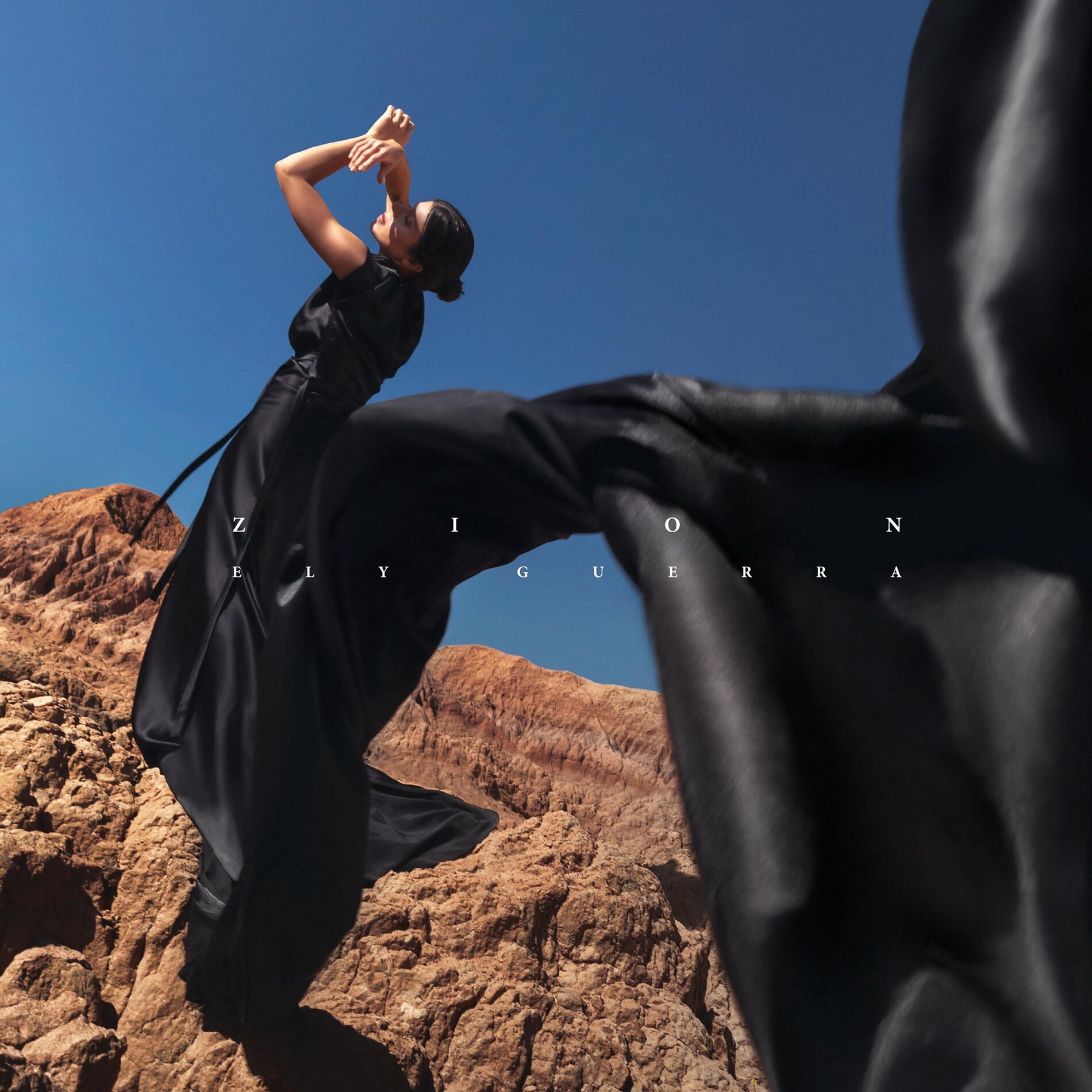 Album cover of Zion