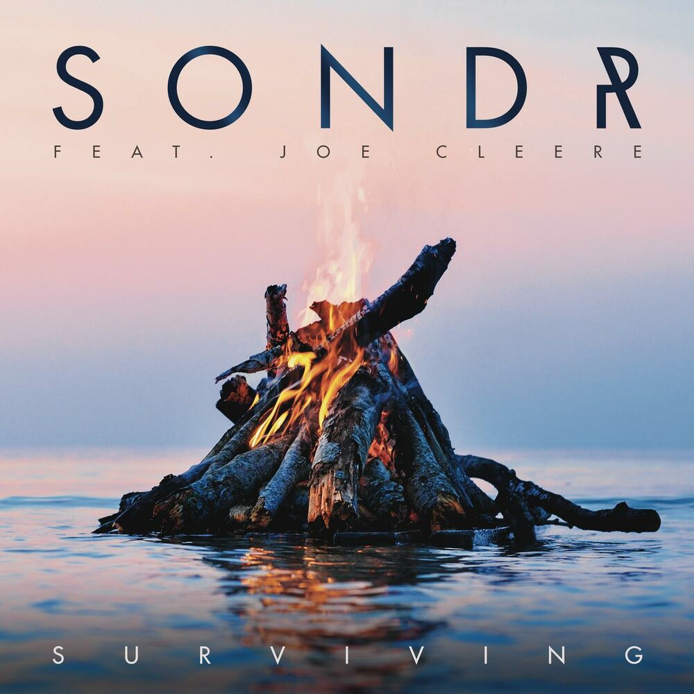 Picture of Surviving (feat. Joe Cleere)