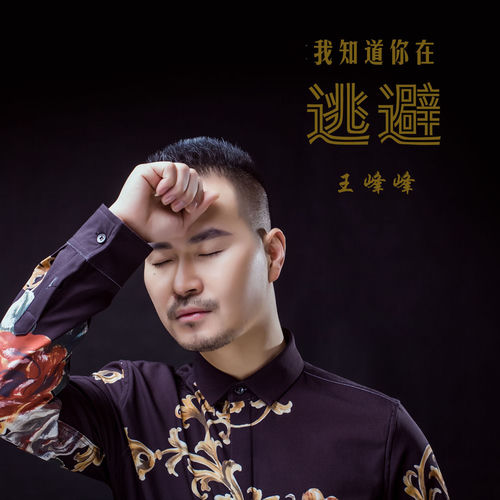 我知道你在逃避