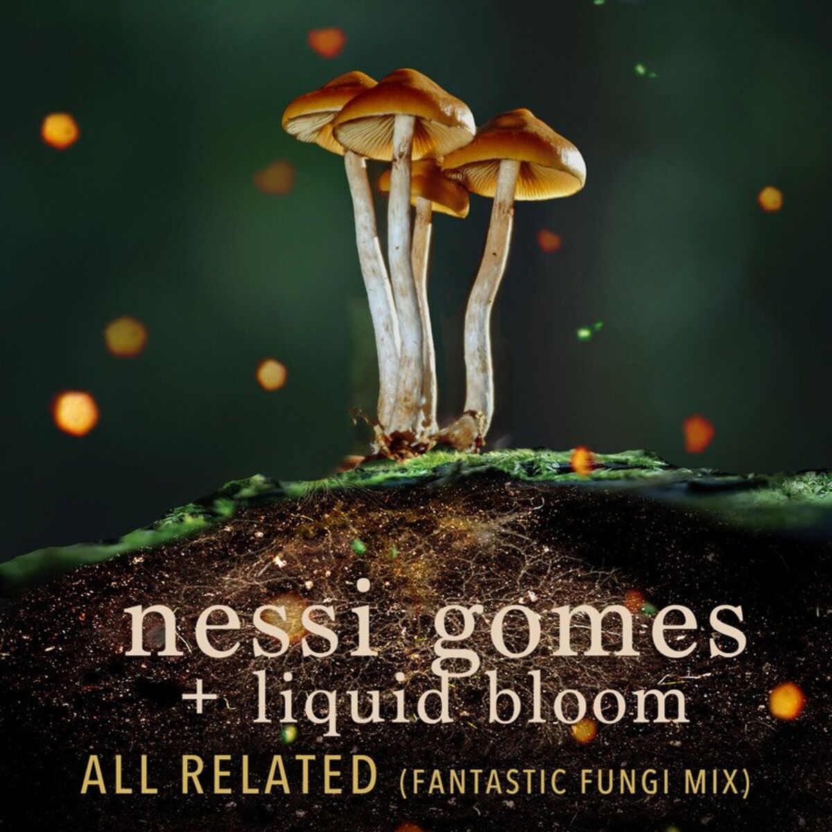 Album cover of All Related (Fantastic Fungi Mix)