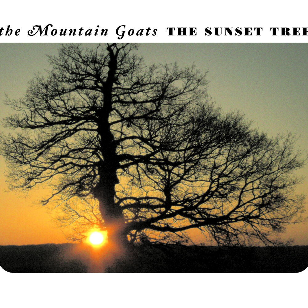 Picture of The Sunset Tree