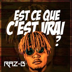 Cover of Est ce que c\'est vrai ?