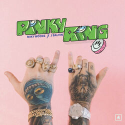 Cover of Pinky Ring