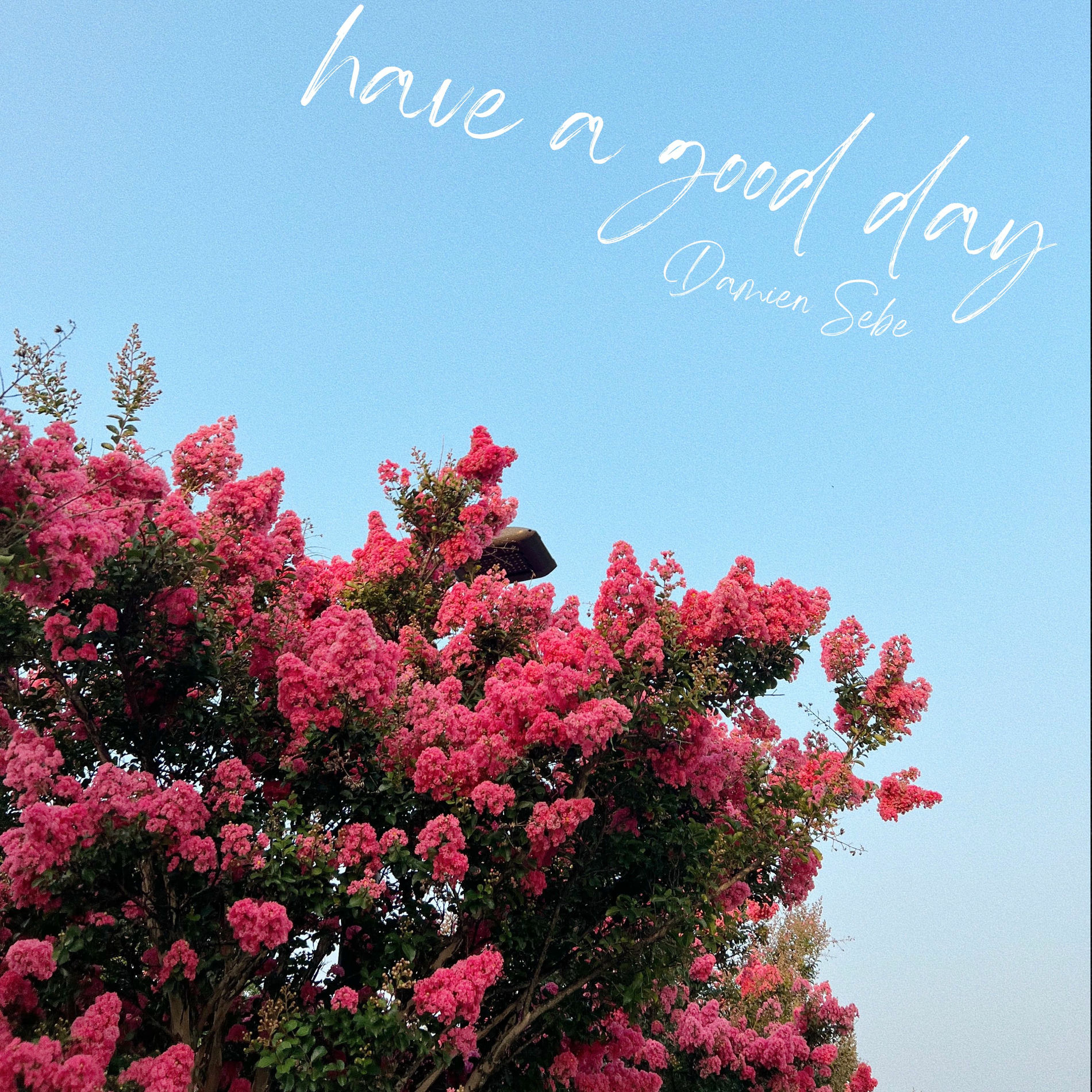 Album cover of have a good day
