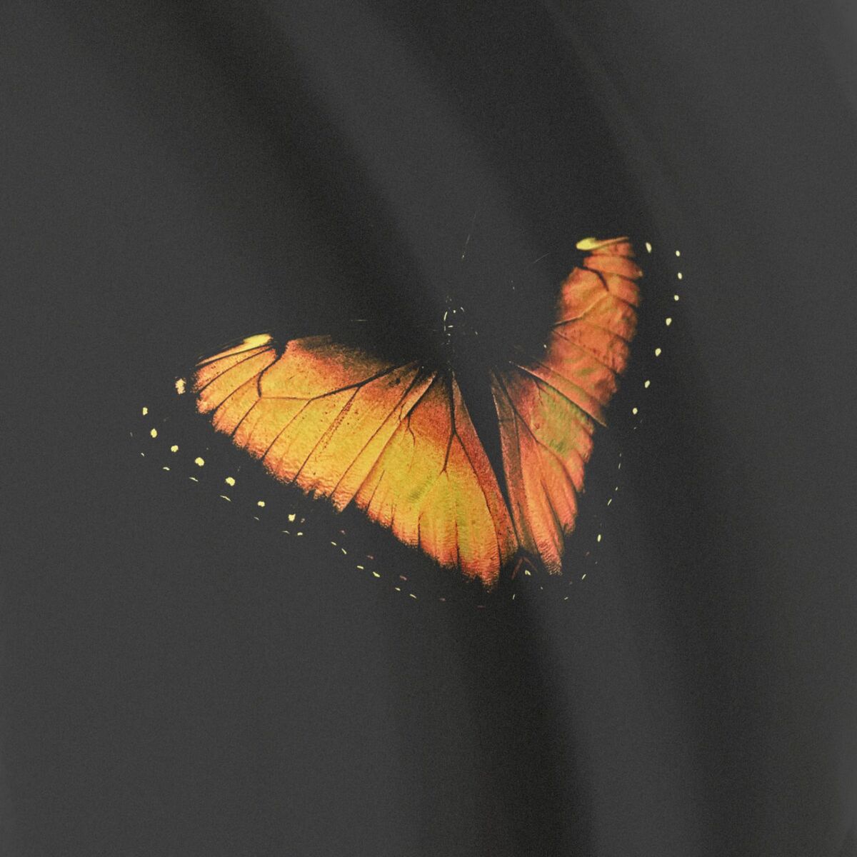 Album cover of Sorrow