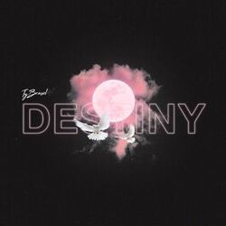 Cover of Destiny
