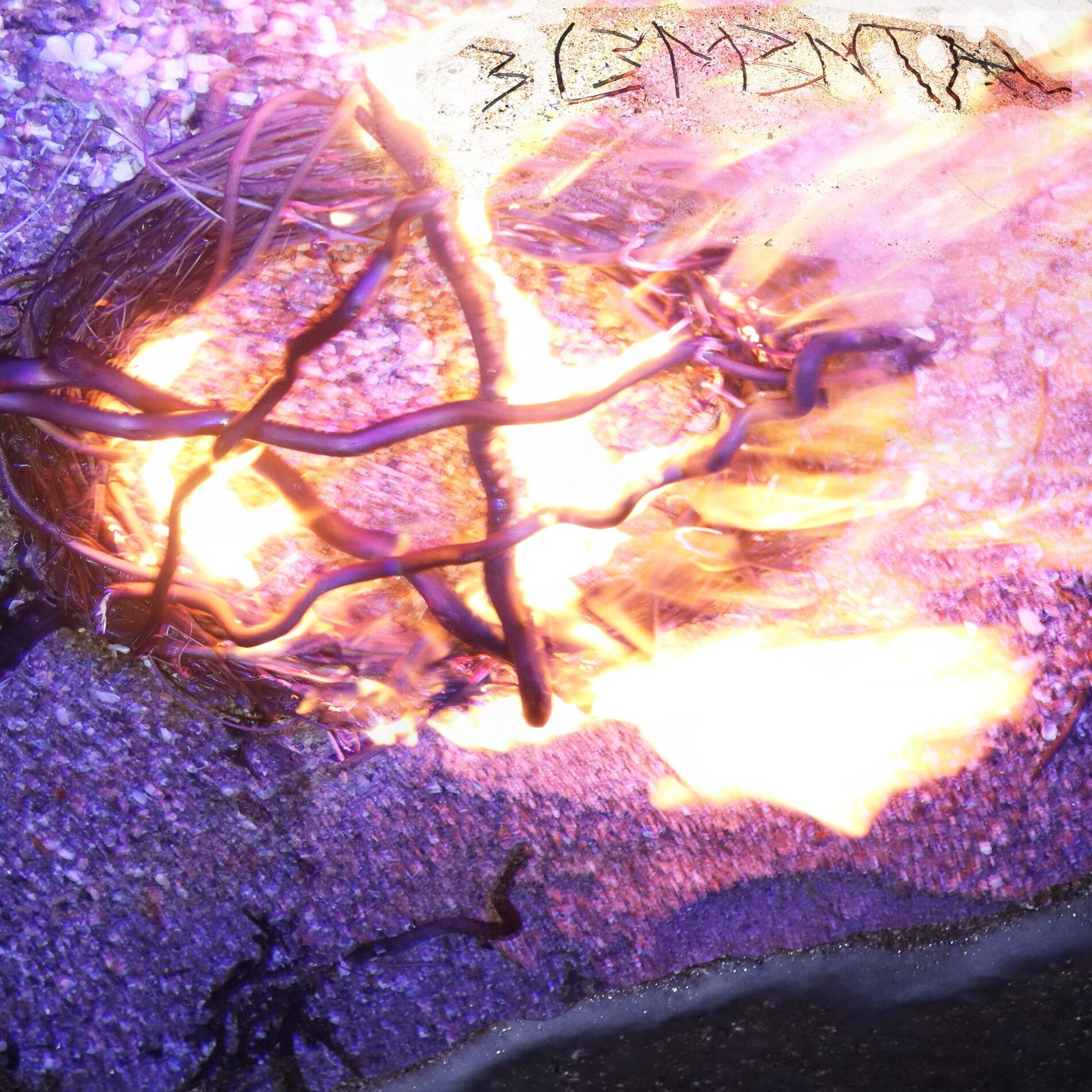 Album cover of 3L3M3NTAL