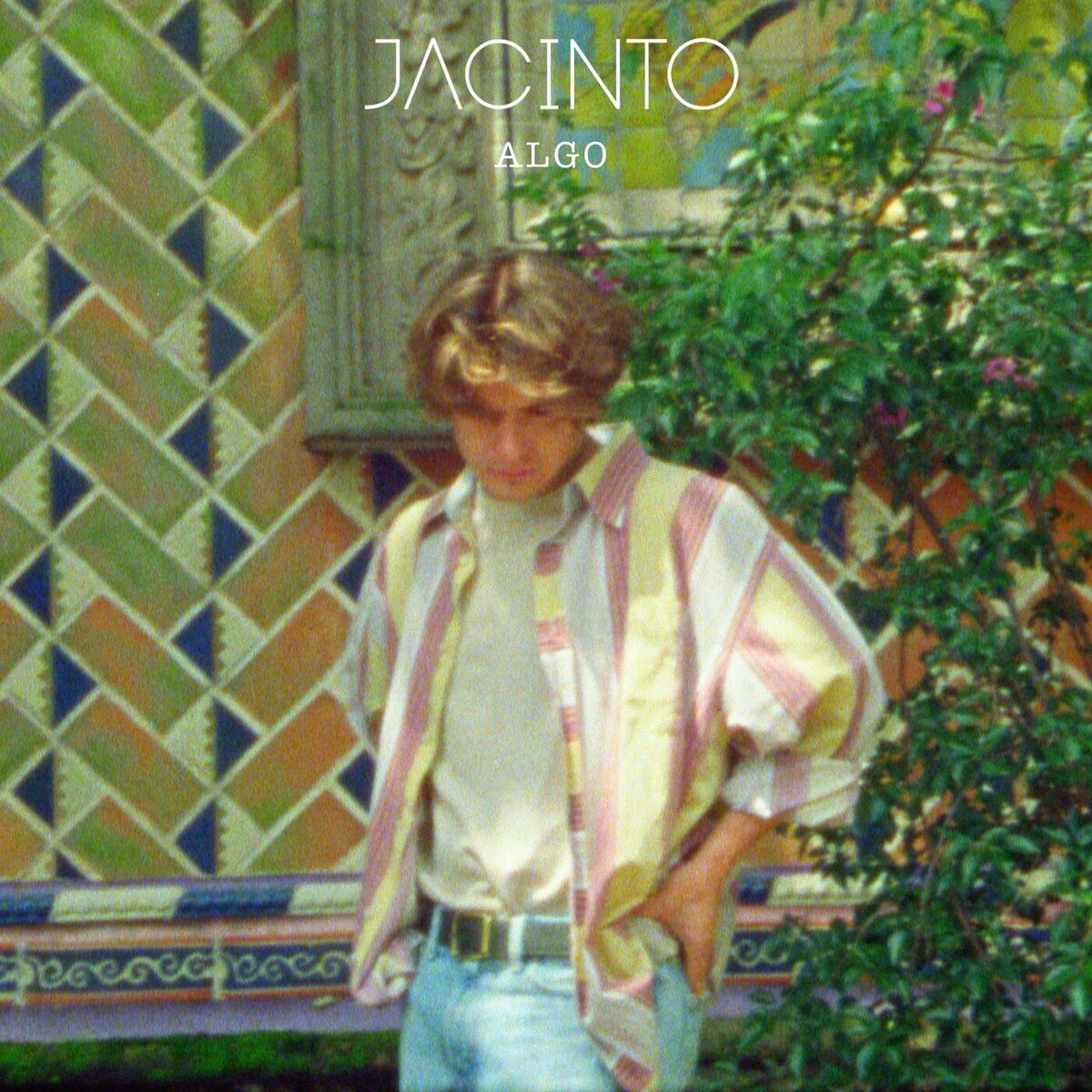Album cover of Algo