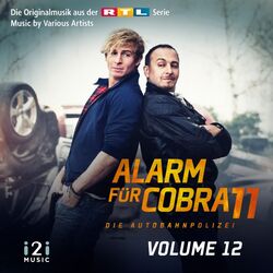 Cover of Alarm für Cobra 11, Vol. 12 (Die Originalmusik aus der RTL Serie)