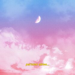 Cover of parisian skies