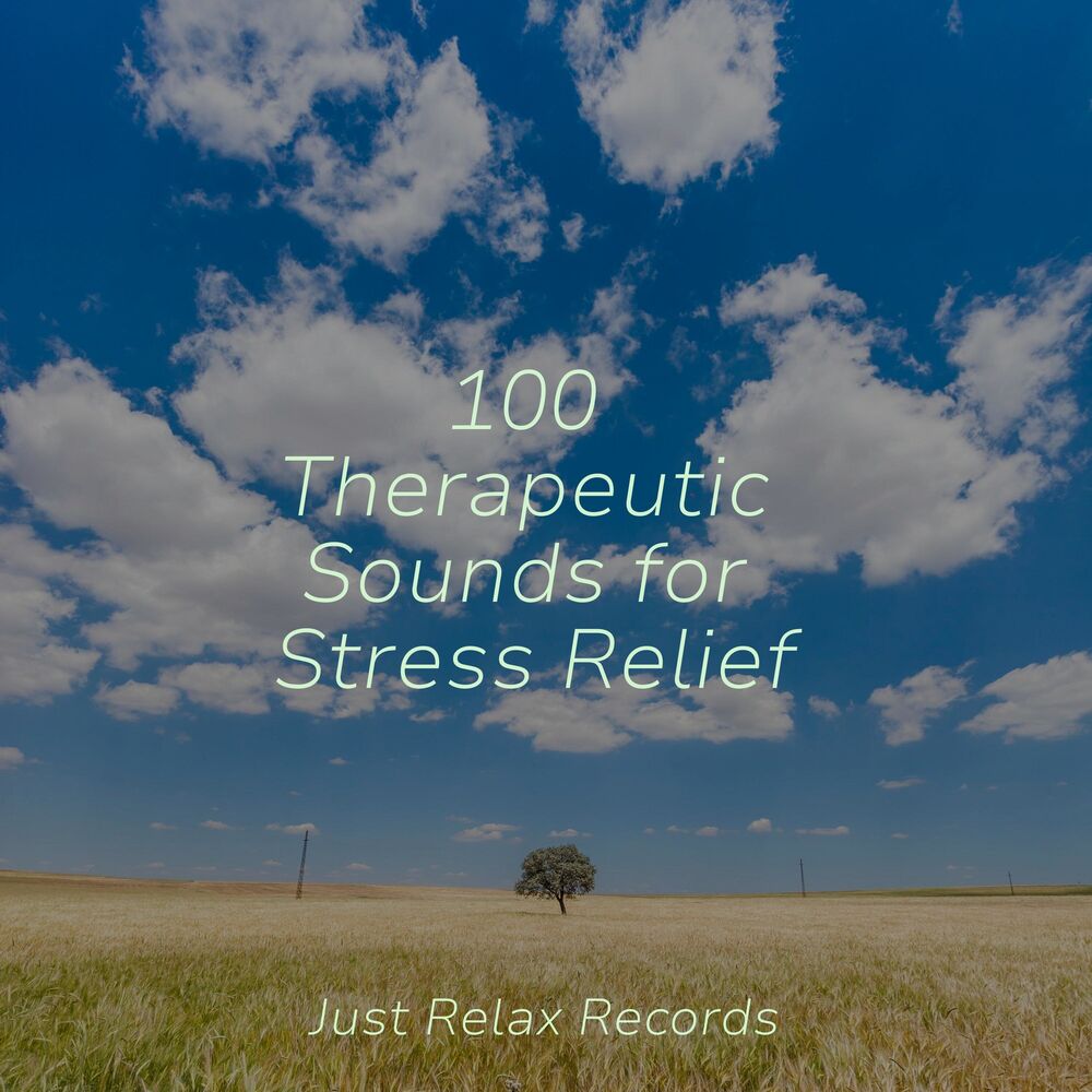 Picture of 100 Therapeutic Sounds for Stress Relief