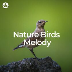 Cover of Nature Birds Melody