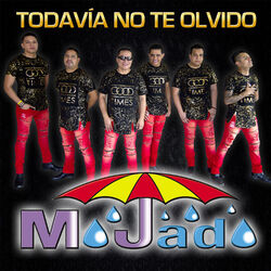 Cover of Todavía No Te Olvido